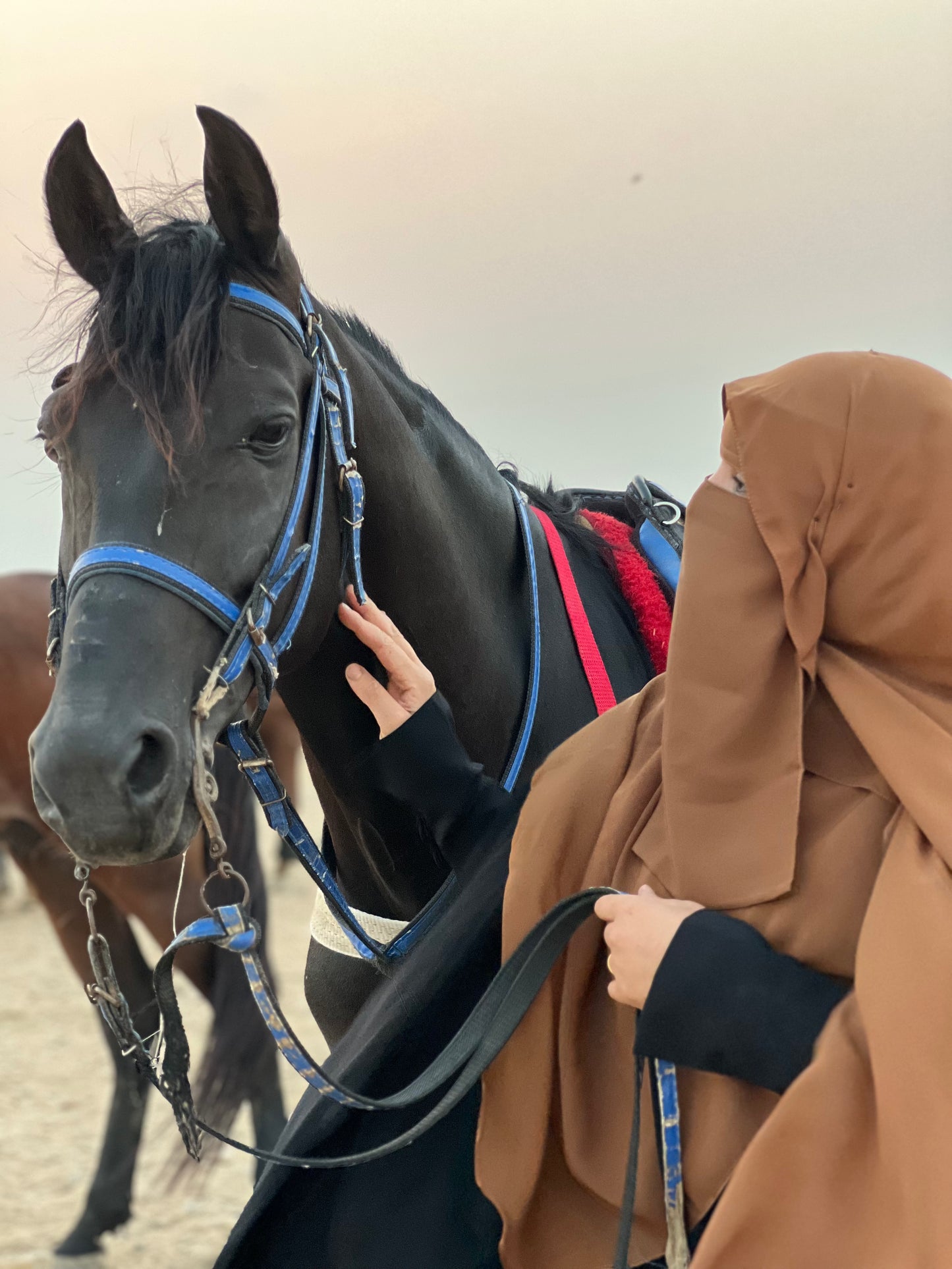 قناع السِتر من مكنون