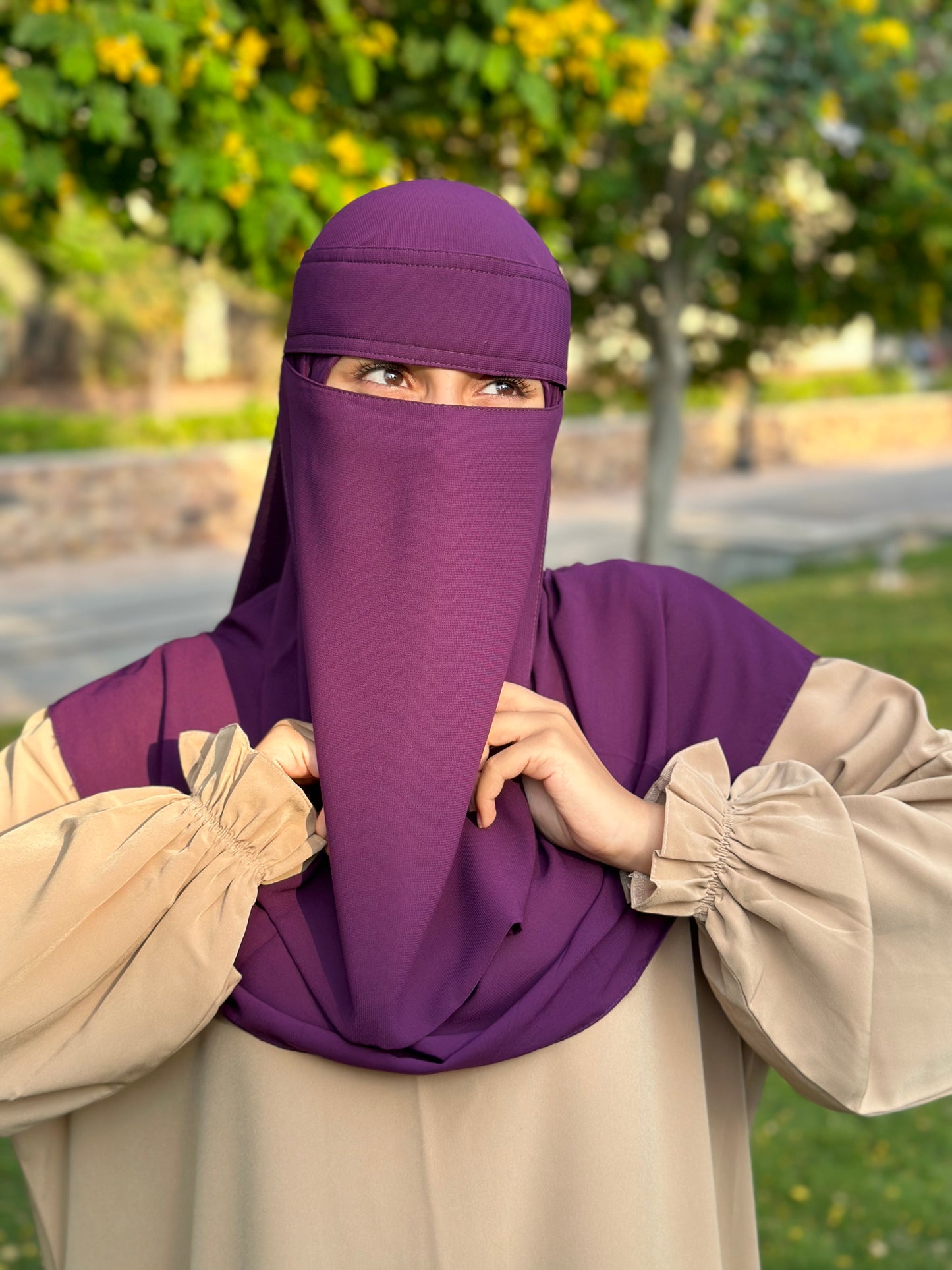 قناع السِتر من مكنون