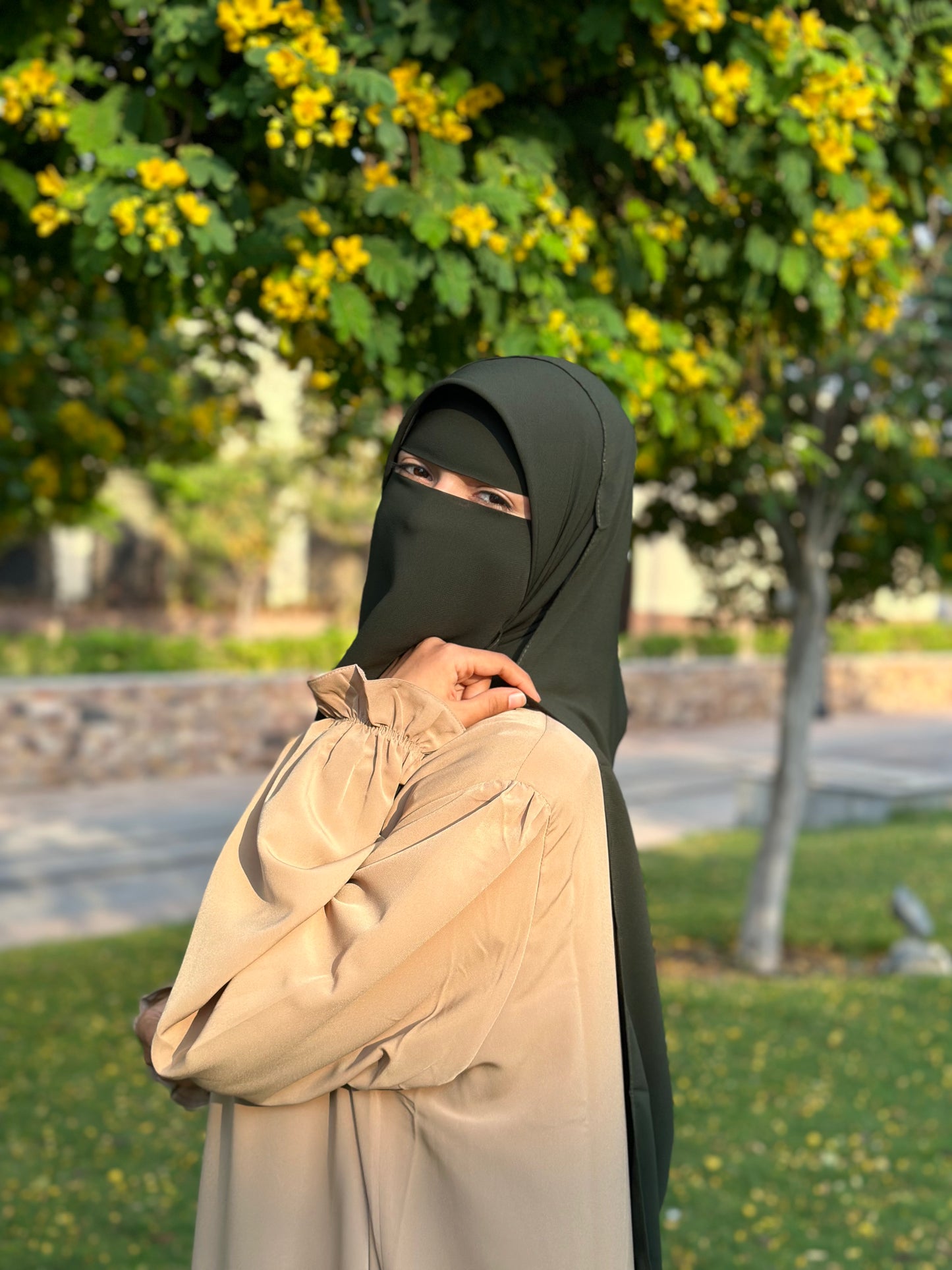 قناع السِتر من مكنون