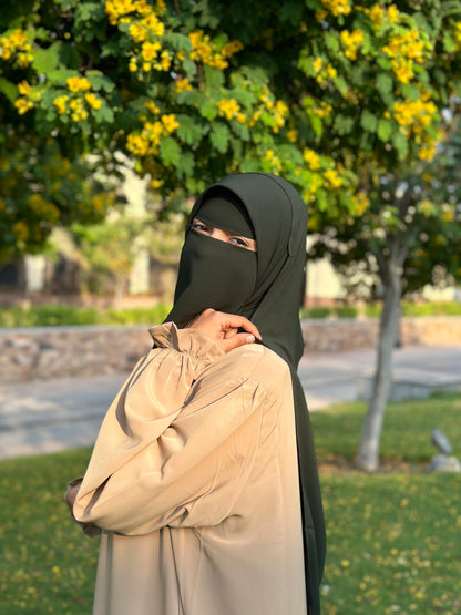 قناع السِتر من مكنون